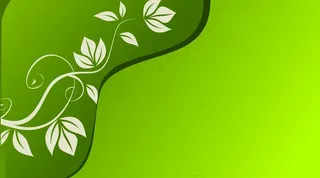 绿色背景图片
