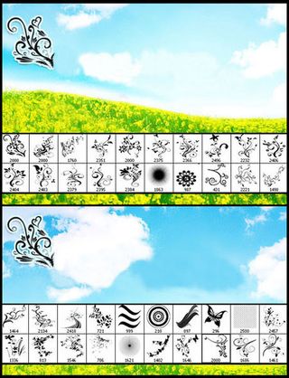 清新精美自然植物笔刷素材