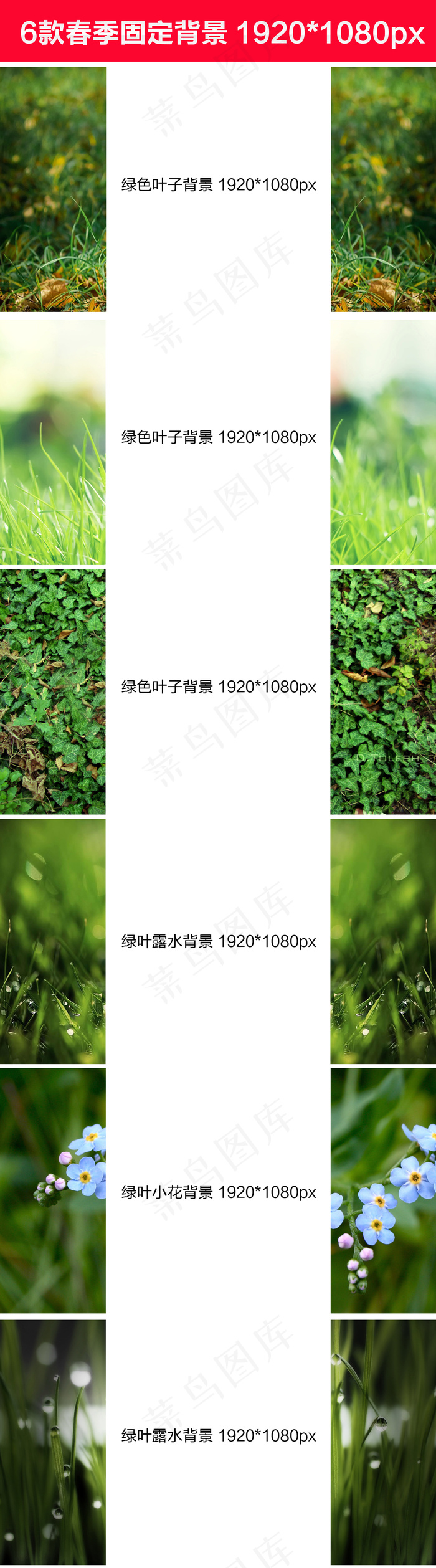 淘宝天猫春季绿色店铺背景固定背景下...(1920X6905(DPI:72))psd模版下载