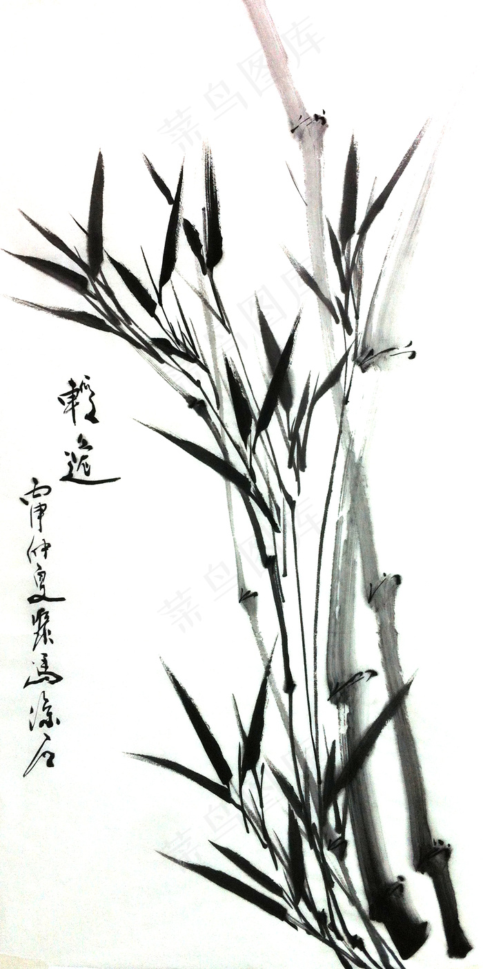 清风竹韵 聚马凉石