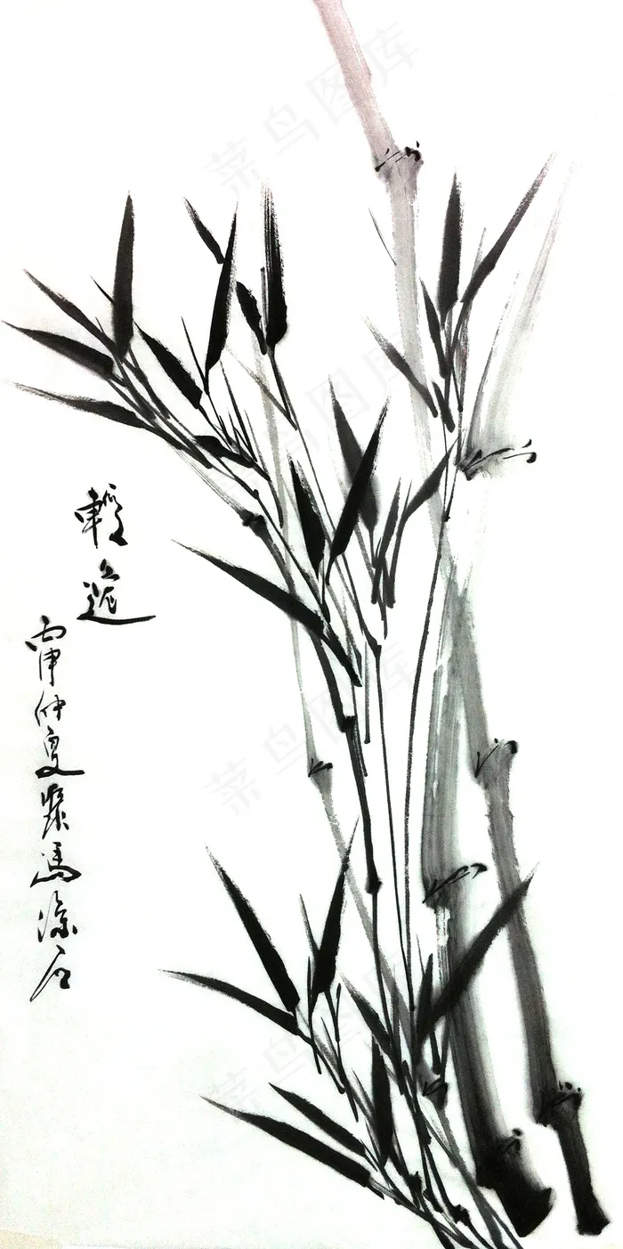 清风竹韵 聚马凉石