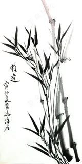 清风竹韵 聚马凉石