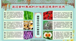 健康过夏天展板图片