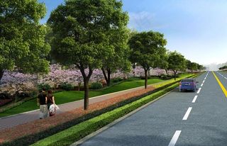道路绿化图片