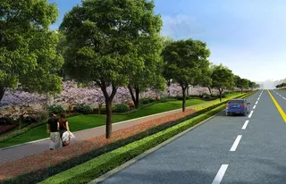 道路绿化图片