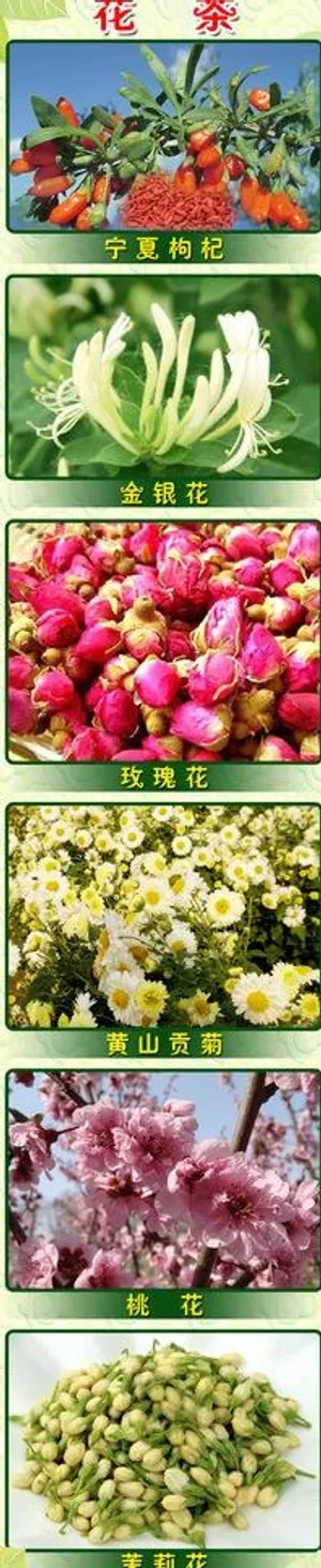 花茶展架图片
