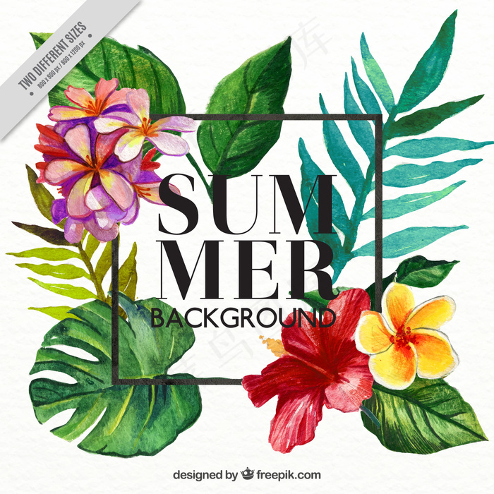 欢乐夏日海滨派对休闲时光旅游矢量