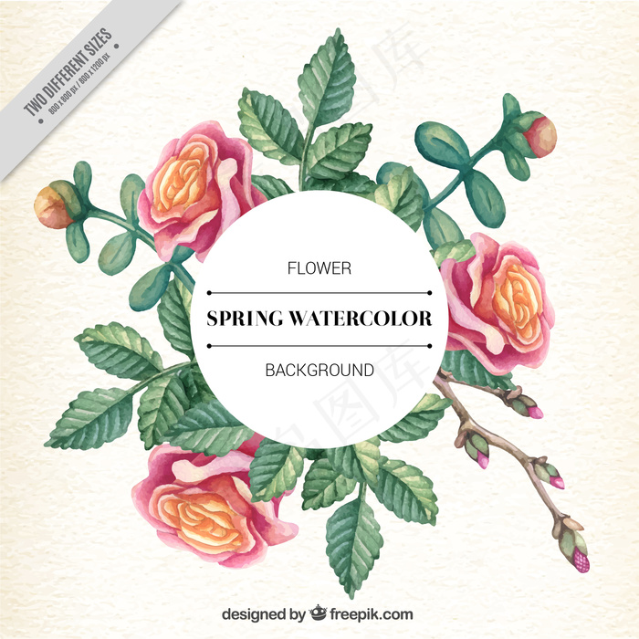 用玫瑰和树叶手绘花卉标签