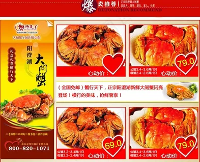 大闸蟹爆款推荐素材图片
