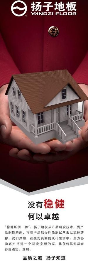 扬子地板图片