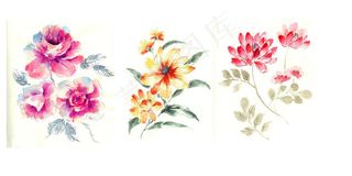 清新浪漫的手绘水彩花卉