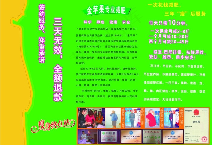 金苹果三折页反图片