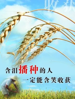 名言励志刊板图片