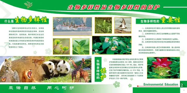 动物园生物多样性展板psd素材模板