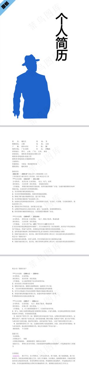 区域经理个人简历模板下载