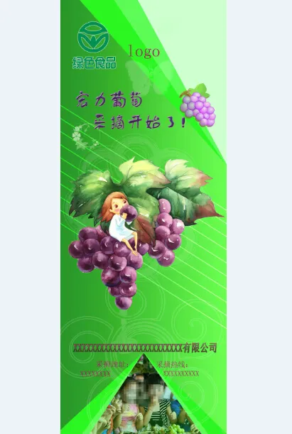 宏力葡萄 采摘开始了psd模版下载