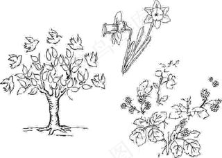 三款花草鸟白描CDR矢量文件