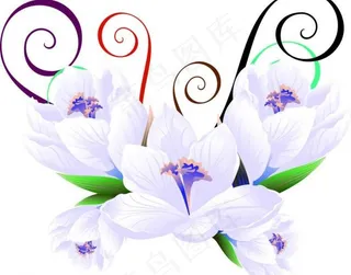 欧矢量素材潮流花图片