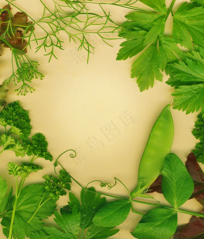 有机草本边界设置对布朗生态友好的背...