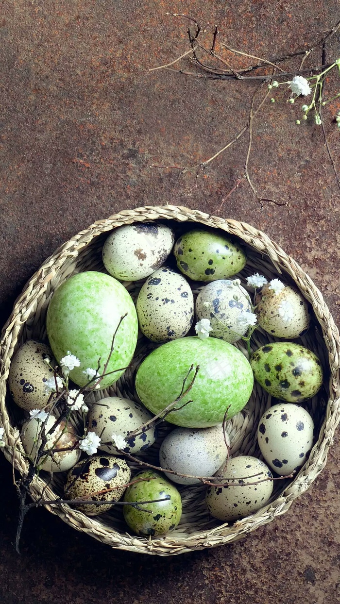 鸟蛋高清摄影图片