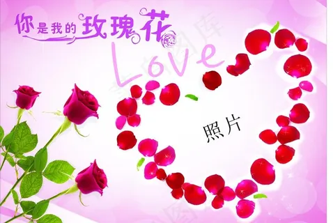照片相框 精美玫瑰图片