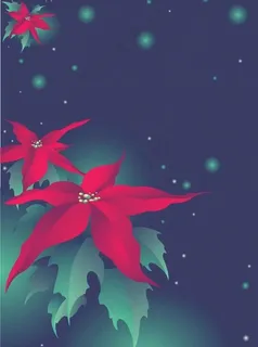 精美红色花朵图片