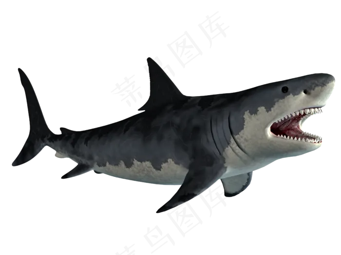 海底鲨鱼素材免扣