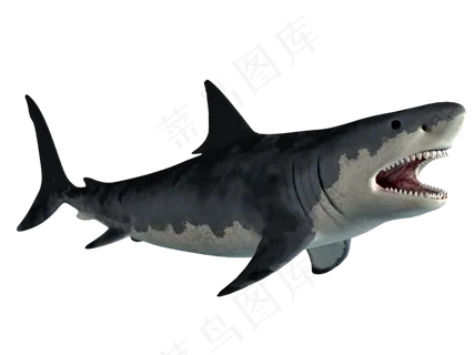 海底鲨鱼素材免扣
