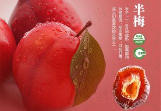 半梅淘宝网页图片