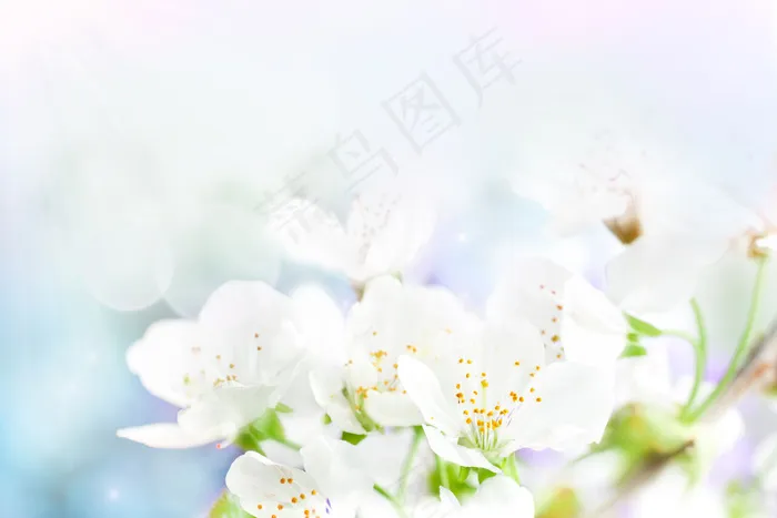 粉色手绘水墨水彩花卉玄关海报常用背...