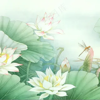 荷花莲叶装饰画 荷花莲叶装饰画