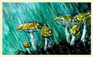 蓝色梦幻设计网页模板