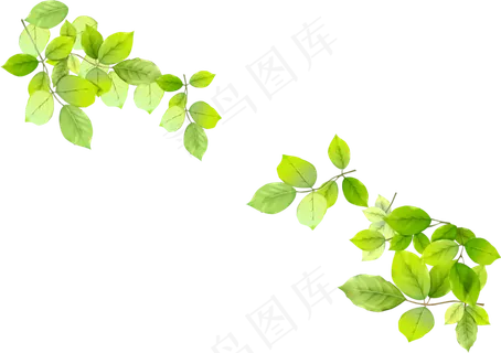 树枝树叶免抠素材PNG分层  树枝树叶免抠素材PNG分层