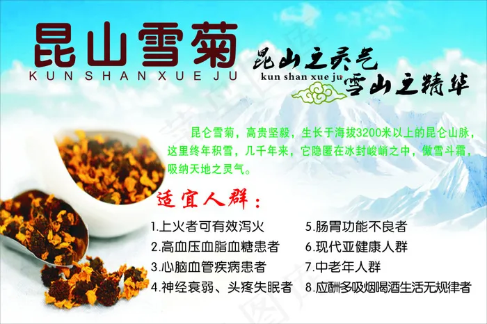 昆仑雪菊cdr矢量模版下载