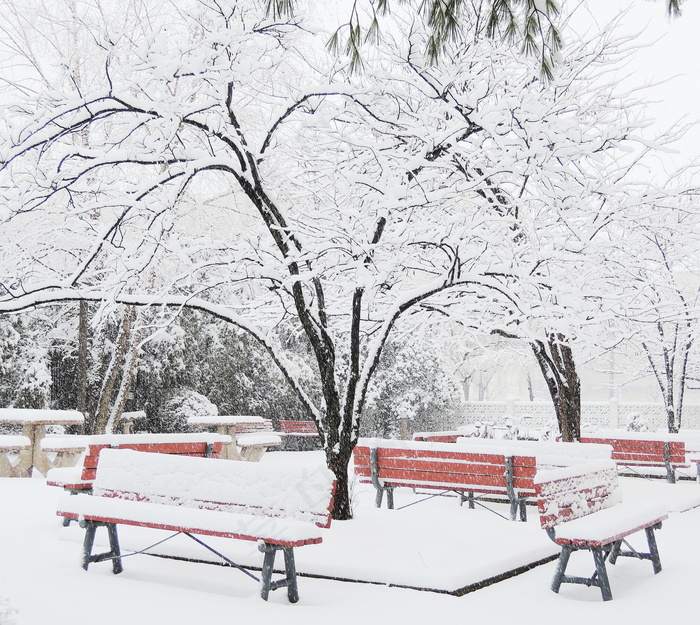 美丽公园雪景