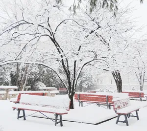 美丽公园雪景