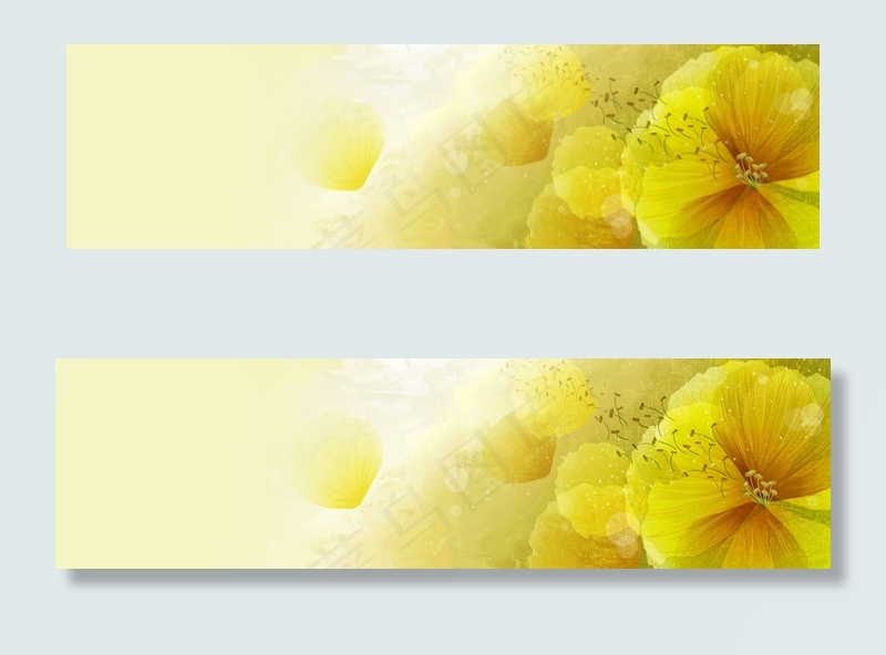 高清炫彩花卉banner背景　