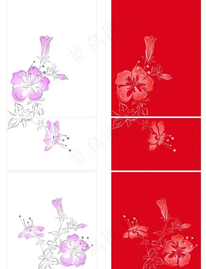 移门牵牛花
