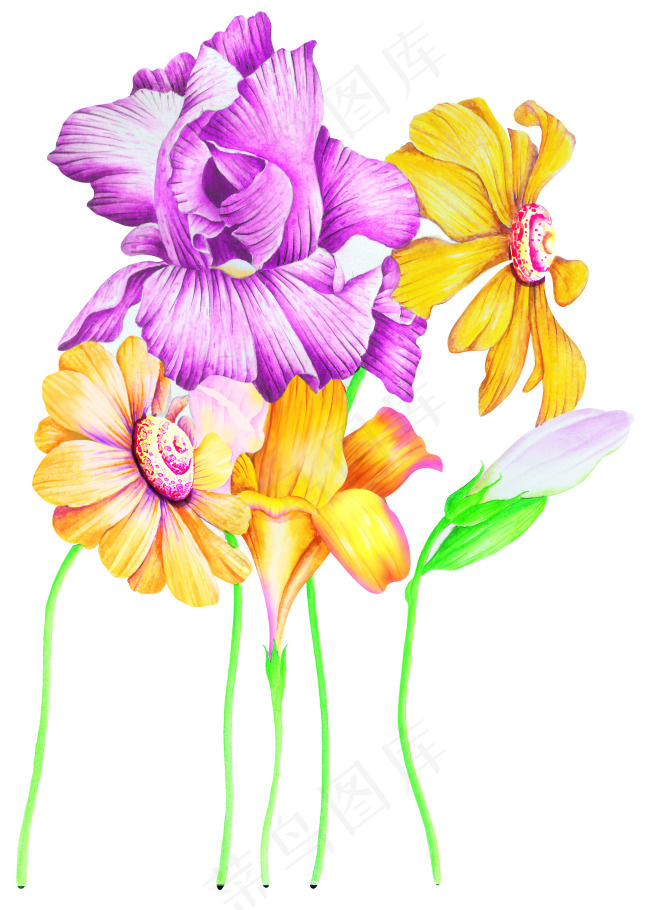 PS设计花朵精美分层图