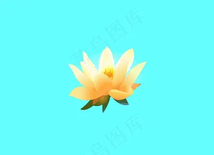 手绘黄色荷花flash图片
