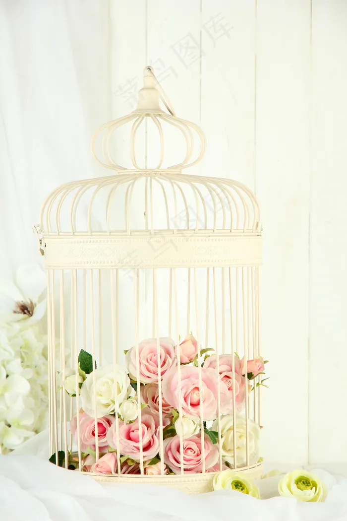 粉色玫瑰花静物设计素材