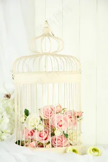 粉色玫瑰花静物设计素材 粉色玫瑰花静物设计素材