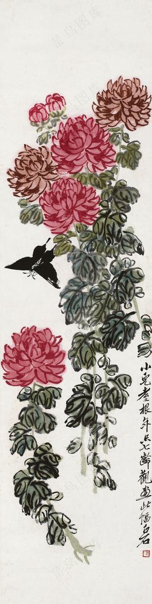 齐白石 菊花蝴蝶图片