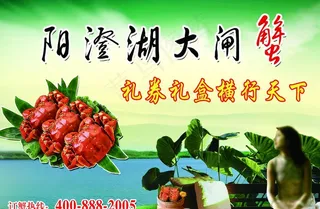 阳澄湖大闸蟹图片