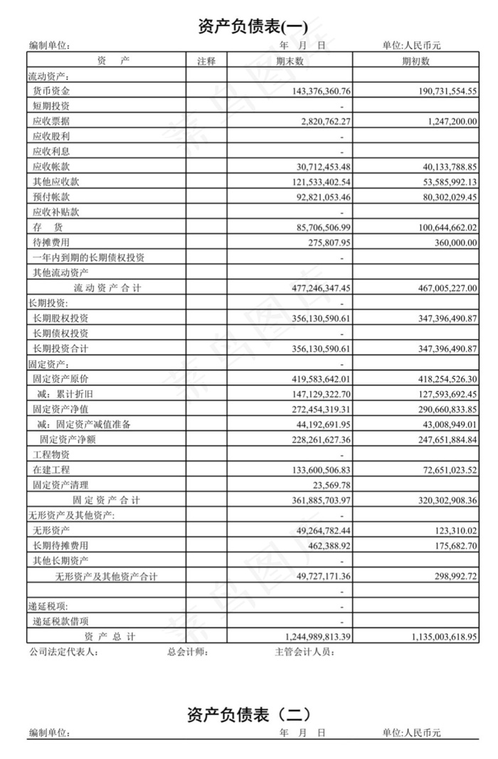 资产负债表样式