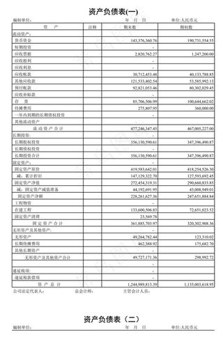 资产负债表样式