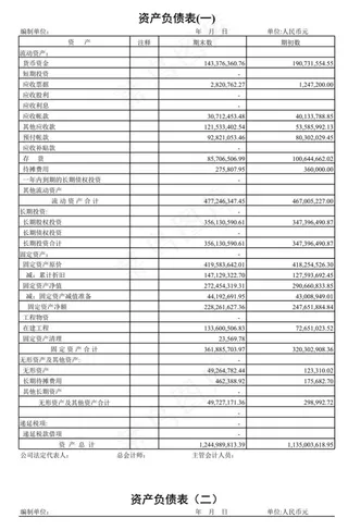 资产负债表样式
