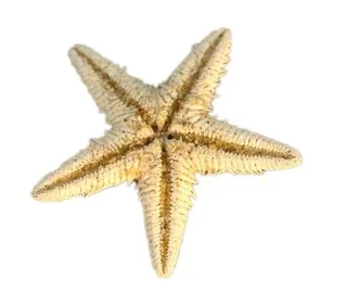 海星免抠素材PSD分层