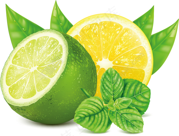 柠檬叶子背景矢量素材