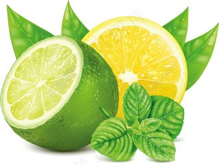 柠檬叶子背景矢量素材